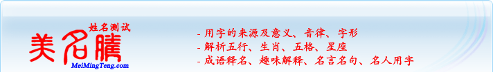 用字的來源及意義、音律、字形；五行、生肖、五格、星座；成語釋名、趣味解釋、名言名句、名人用字