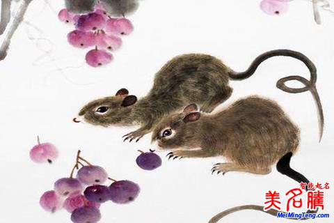 鼠年孫姓新生女?huà)肫鹈记珊兔执笕? /></a>鼠年孫姓新生女?huà)肫鹈记珊兔执笕号⑸鷣?lái)就是父母身邊的小公主,而且女孩乖巧可愛(ài)、溫柔賢惠,可以給父母帶來(lái)一絲快樂(lè)和幫助。以下美名騰起名網(wǎng)整理了一些鼠年孫姓新生女?huà)肫鹈记?,一起?lái)看看吧!鼠年孫姓新...</div>
<span id="ctl00_ContentPlaceHolder1_subjectList_dgNews_ctl11_Label1" style="color:Green;font-size:10pt;">2018/4/30 17:31:05</span>
<div style="height:5px; font-size:5px"> </div>
<hr width="99%" style="text-align:center; border-style:dotted; border-width:0px; height:1px;" />
<div style="height:5px; font-size:5px"> </div>
</div>
</td>
</tr><tr style="border-width:0px;">
<td valign="top">
<div style="padding-left:3px; padding-right:3px;line-height:180%">
<h3 style="padding:0px;margin:0px;display:inline;"><a id="ctl00_ContentPlaceHolder1_subjectList_dgNews_ctl12_HyperLink1" class="headline" href="/subject/shu/s.aspx?newsid=8345" target="_blank">鼠年錢姓男孩起名注意事項(xiàng)和名字大全</a></h3>
<span style="color:Red;font-size:8pt;"></span>
<br />
<div style="padding-top:1px; width:95%; padding-left:8px; line-height:180%;color:#2f2f2f;font-size:14px;" ><a href=