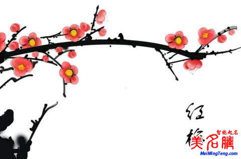 2018梅姓寶寶最詩意、最不凡的名字大全
