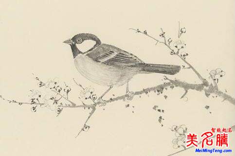 2018梅姓寶寶最詩意、最不凡的名字大全
